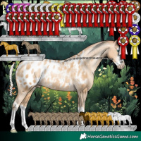 Horse Color:Gray Silver Amber Cream Champagne Pearl Sabino Splash Appaloosa Rabicano 