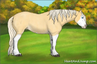 Horse Color:Palomino Roan Splash 