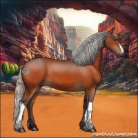Horse Color:Silver Brown 