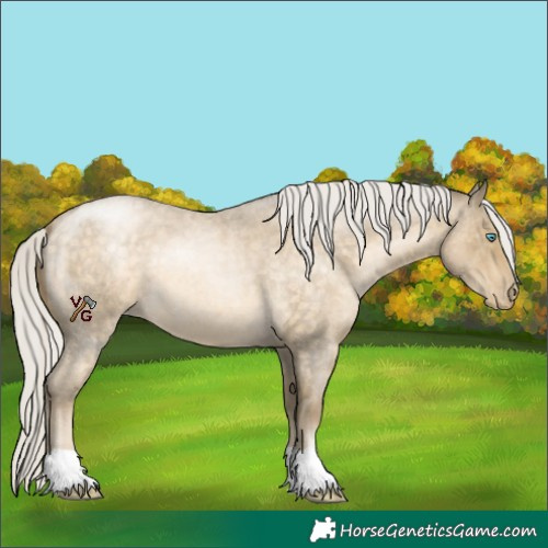 Horse Color:Silver Buckskin Roan Pearl 
