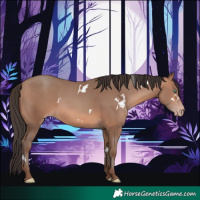 Horse Color:White Spotted Sable Champagne 