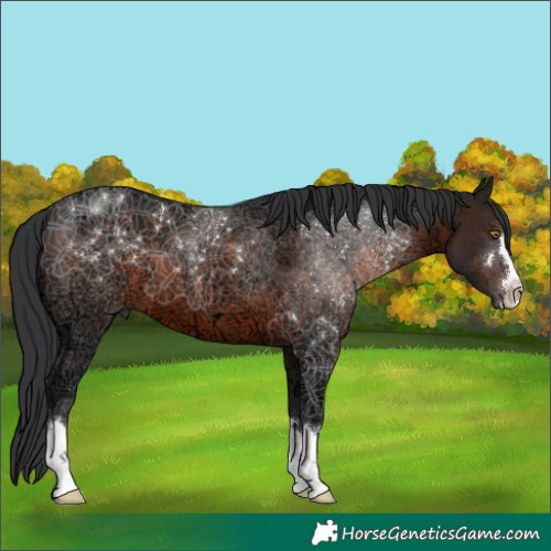 Horse Color:Brown Ice 