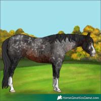 Horse Color:Brown Ice 