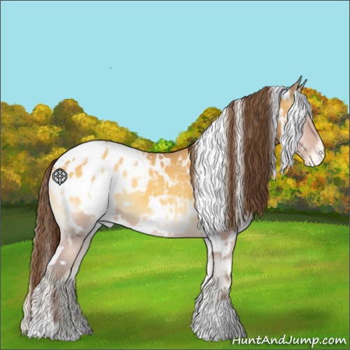 Horse Color:White Spotted Amber Cream Champagne Onyx Appaloosa 
