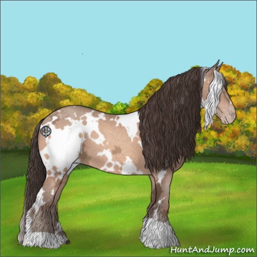 Horse Color:White Spotted Sable Champagne Ice 