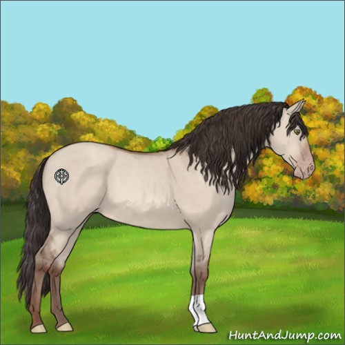 Horse Color:Sable Champagne Dun 