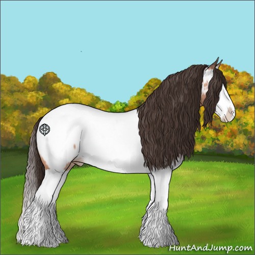 Horse Color:Sable Champagne Splash Appaloosa 