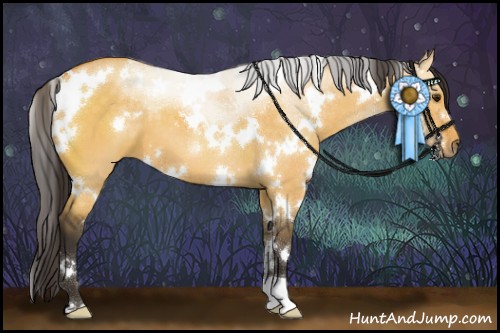 Horse Color:White Spotted Buckskin Dun