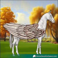 Horse Color:Chocolate Palomino Pearl Sabino Splash Tobiano Appaloosa and Liver Red Roan Sabino Splash Appaloosa