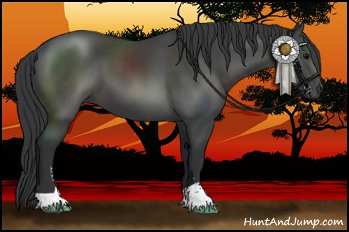 Horse Color:Black Sabino 