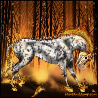 Horse Color:Liver Chestnut Sabino Splash Appaloosa  and Liver Chestnut Sabino Splash Appaloosa 