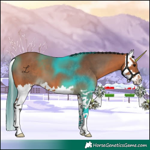 Horse Color:Bay Splash 