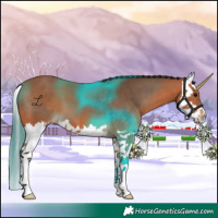 Horse Color:Bay Splash 