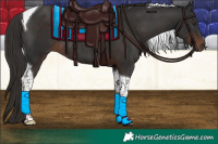 Horse Color:Liver Chestnut Tobiano Rabicano