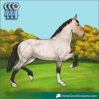 Horse Color:Bay Roan Dun 