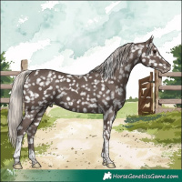 Horse Color:White Spotted Silver Black Tobiano Snowflake Varnish 