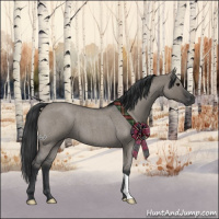 Horse Color:Grullo Roan 