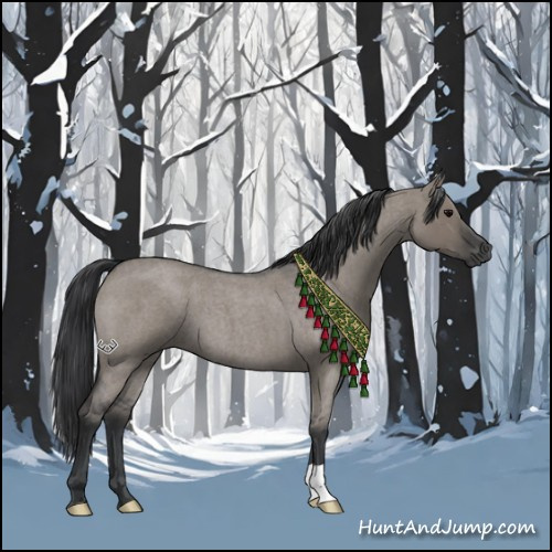 Horse Color:Grullo Roan 