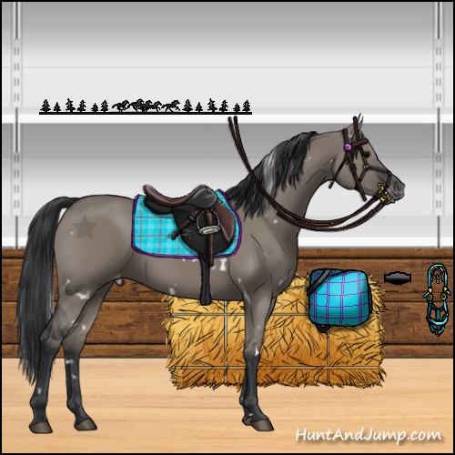 Horse Color:White Spotted Grullo Varnish 