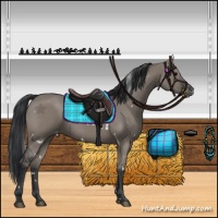 Horse Color:White Spotted Grullo Varnish 