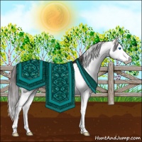 Horse Color:Brown Dun Sabino Splash 