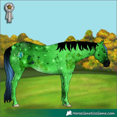 Horse Color:ERROR: UNKNOWN ANOMALY