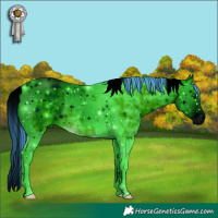 Horse Color:ERROR: UNKNOWN ANOMALY