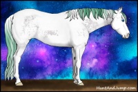Horse Color:Watercolor White Spotted Bay Ice Splash Tobiano 