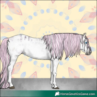 Horse Color:Gray Painted Silver Blue Onyx Ice Splash Tobiano Appaloosa 