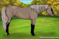 Horse Color:Void White Spotted Silver Grullo Rabicano 