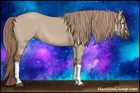 Horse Color:White Spotted Liver Red Dun Rabicano 