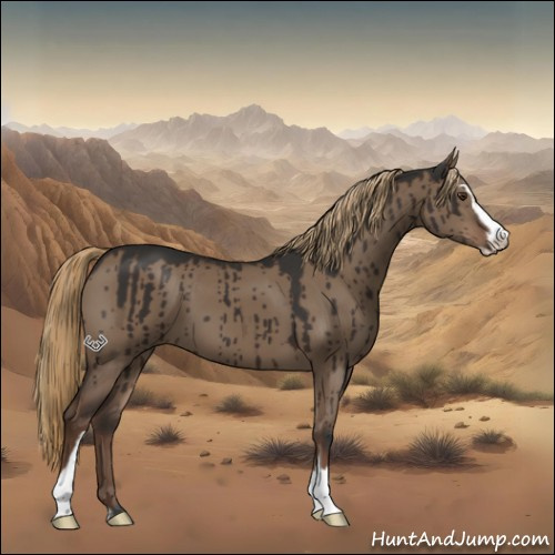 Horse Color:Liver Red Dun Sabino Brindle