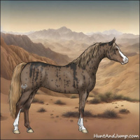 Horse Color:Liver Red Dun Sabino Brindle