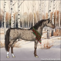 Horse Color:Liver Red Dun Brindle