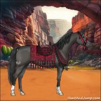 Horse Color:Grullo 