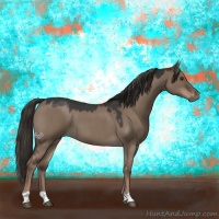 Horse Color:Liver Red Dun Roan