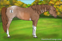 Horse Color:Chestnut Tobiano 