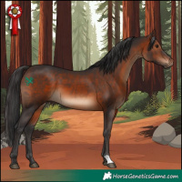 Horse Color:Brown 