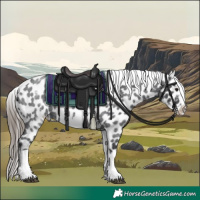 Horse Color:White Spotted Blue Roan Splash Frame Appaloosa 