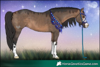 Horse Color:Brown Dun 