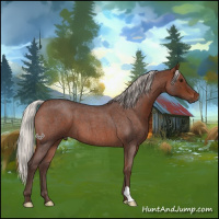 Horse Color:Silver Brown Roan 
