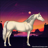 Horse Color:Gold Cream Champagne Dun 