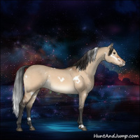 Horse Color:White Spotted Brown Dun Rabicano 