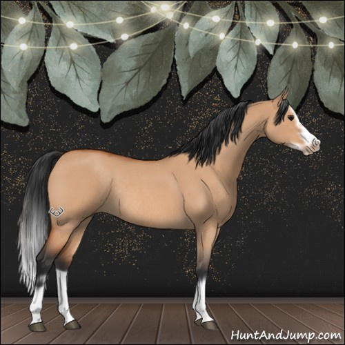 Horse Color:Bay Roan Dun Splash Frame Rabicano