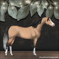 Horse Color:Bay Roan Dun Splash Frame Rabicano 