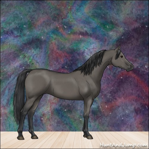 Horse Color:Grullo 