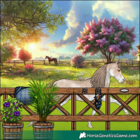 Horse Color:Black Pearl Sabino Appaloosa Rabicano 