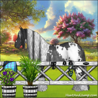 Horse Color:White Spotted Black Rabicano 