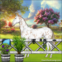 Horse Color:White Spotted Black Pearl Splash Appaloosa Rabicano 