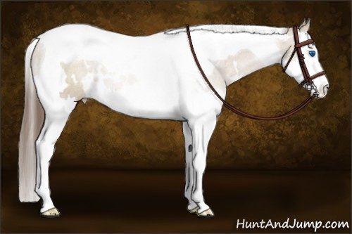 Horse Color:White Spotted Grullo Pearl Splash Tobiano